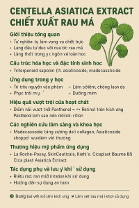 Centella Asiatica Extract La Hoat Chat Gi Cong Dung Trong Duoc My Pham