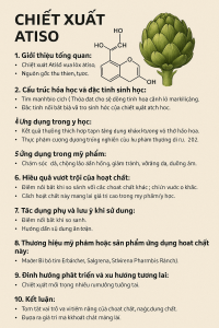 Ginseng Extract La Hoat Chat Gi Cong Dung Trong Duoc My Pham