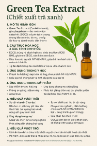 Green Tea Extract La Hoat Chat Gi Cong Dung Trong Duoc My Pham
