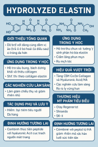Hydrolyzed Elastin La Hoat Chat Gi Cong Dung Trong Duoc My Pham