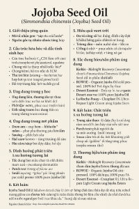 Jojoba Seed Oil La Hoat Chat Gi Cong Dung Trong Duoc My Pham