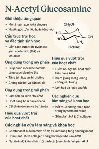 N‑Acetyl Glucosamine La Hoat Chat Gi Cong Dung Trong Duoc My Pham