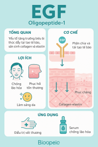 Oligopeptide‑1 EGF La Hoat Chat Gi Cong Dung Trong Duoc My Pham