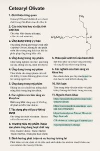 Sorbitan Stearate La Hoat Chat Gi Cong Dung Trong Duoc My Pham