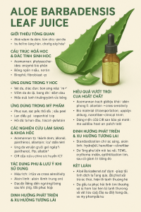 Aloe Barbadensis Leaf Juice La Hoat Chat Gi Cong Dung Trong Duoc My Pham