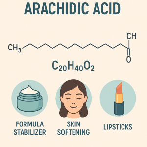 Arachidic Acid La Hoat Chat Gi Cong Dung Trong Duoc My Pham