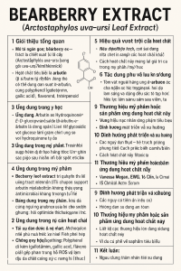 Bearberry Extract La Hoat Chat Gi Cong Dung Trong Duoc My Pham