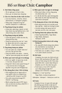 Camphor La Hoat Chat Gi Cong Dung Trong Duoc My Pham