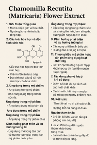 Chamomilla Recutita Matricaria Flower Extract La Hoat Chat Gi Cong Dung Trong Duoc My Pham