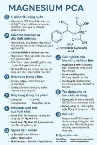 Magnesium PCA La Hoat ChatGi Cong Dung Trong Duoc My Pham
