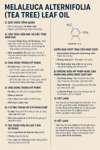 Melaleuca Alternifolia Tea Tree Leaf Oil La Hoat Chat Gi Cong Dung Trong Duoc My Pham
