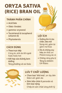 Oryza Sativa Rice Bran Oil La Hoat Chat Gi Cong Dung Trong Duoc My Pham