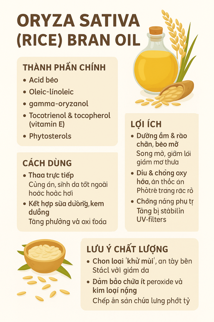 Oryza Sativa Rice Bran Oil La Hoat Chat Gi Cong Dung Trong Duoc My Pham
