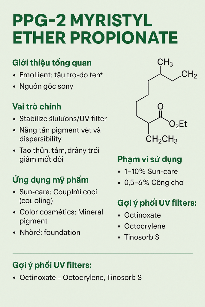 PPG 2 Myristyl Ether Propionate La Hoat Chat Gi Cong Dung Trong Duoc My Pham