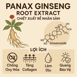 Panax Ginseng Root Extract La Hoat Chat Gi Cong Dung Trong Duoc My Pham