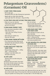 Pelargonium Graveolens Geranium Oil La Hoat Chat Gi Cong Dung Trong Duoc My Pham