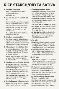 Rice Starch La Hoat Chat Gi Cong Dung Trong Duoc My Pham
