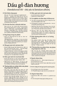 Sandalwood Oil La Hoat Chat Gi Cong Dung Trong Duoc My Pham