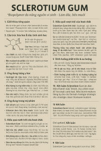 Sclerotium Gum La Hoat Chat Gi Cong Dung Trong Duoc My Pham