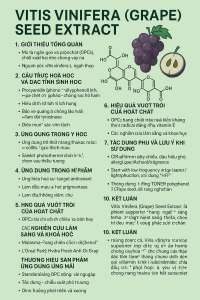 Vitis Vinifera Grape Seed Extract La Hoat Chat Gi Cong Dung Trong Duoc My Pham