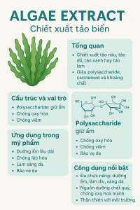 Algae Extract La Hoat Chat Gi Cong Dung Trong Duoc My Pham