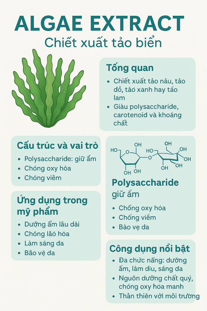 Algae Extract La Hoat Chat Gi Cong Dung Trong Duoc My Pham