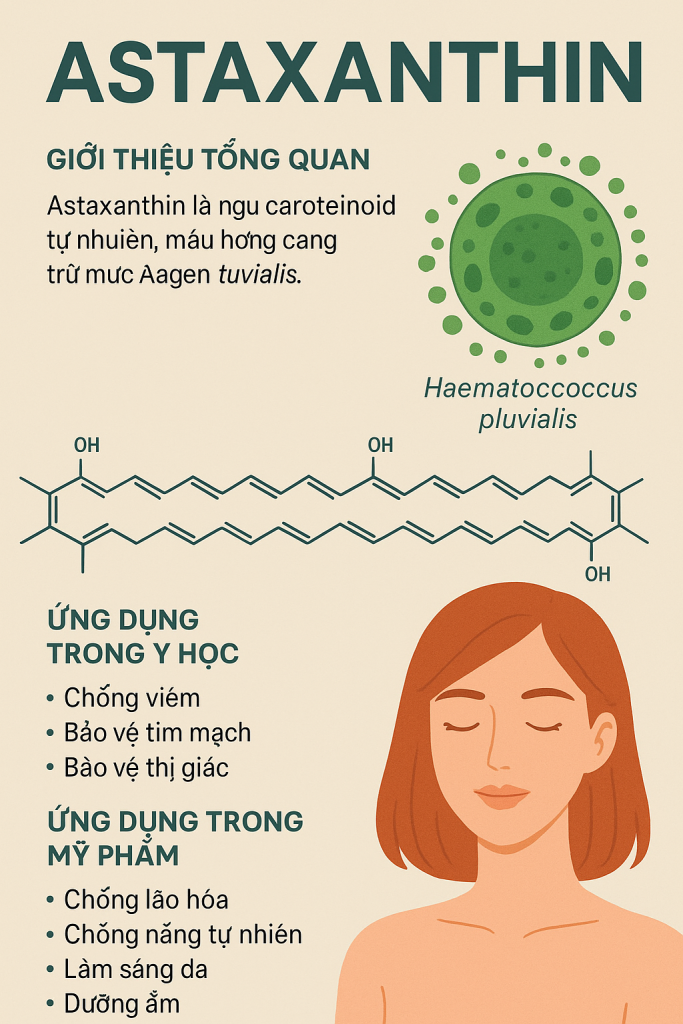Astaxanthin La Hoat Chat Gi Cong Dung Trong Duoc My Pham