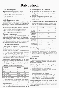 Bakuchiol La Hoat Chat Gi Cong Dung Trong Duoc My Pham