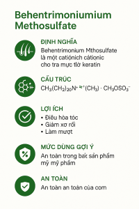 Behentrimonium Methosulfate La Hoat Chat Gi Cong Dung Trong Duoc My Pham