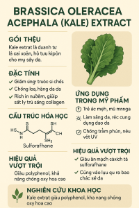Brassica Oleracea Acephala Kale Extract La Hoat Chat Gi Cong Dung Trong Duoc My Pham