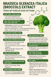 Brassica Oleracea Italica Broccoli Extract La Hoat Chat Gi Cong Dung Trong Duoc My Pham