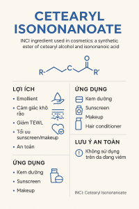 Cetearyl Isononanoate La Hoat Chat Gi Cong Dung Trong Duoc My Pham