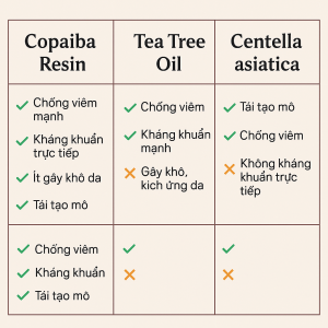 Copaifera Officinalis Balsam Copaiba Resin La Hoat Chat Gi Cong Dung Trong Duoc My Pham