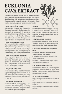 Ecklonia Cava Extract La Hoat Chat Gi Cong Dung Trong Duoc My Pham