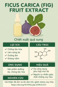 Ficus Carica Fig Fruit Extract La Hoat Chat Gi Cong Dung Trong Duoc My Pham