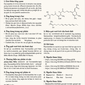 Fucoxanthin La Hoat Chat Gi Cong Dung Trong Duoc My Pham