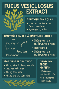 Fucus Vesiculosus Extract La Hoat Chat Gi Cong Dung Trong Duoc My Pham
