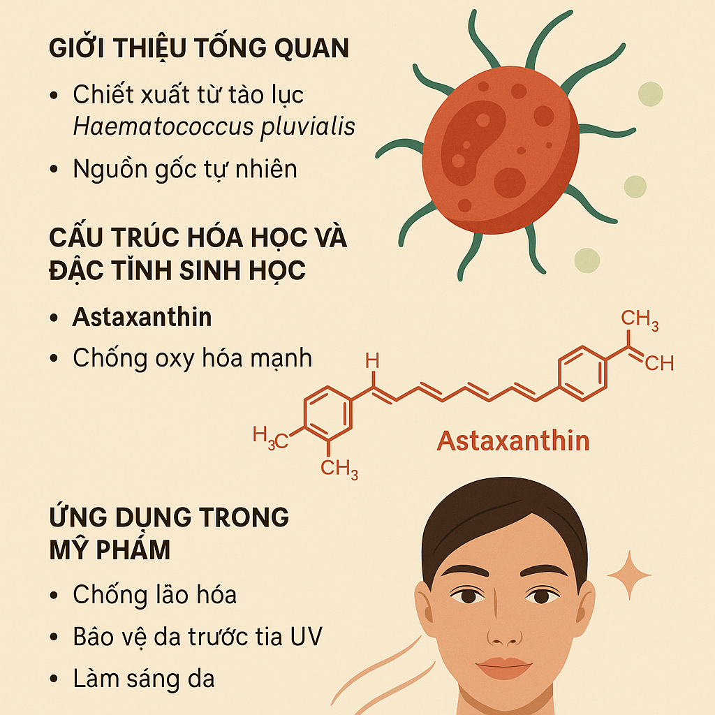 Haematococcus Pluvialis Extract La Hoat Chat Gi Cong Dung Trong Duoc My Pham