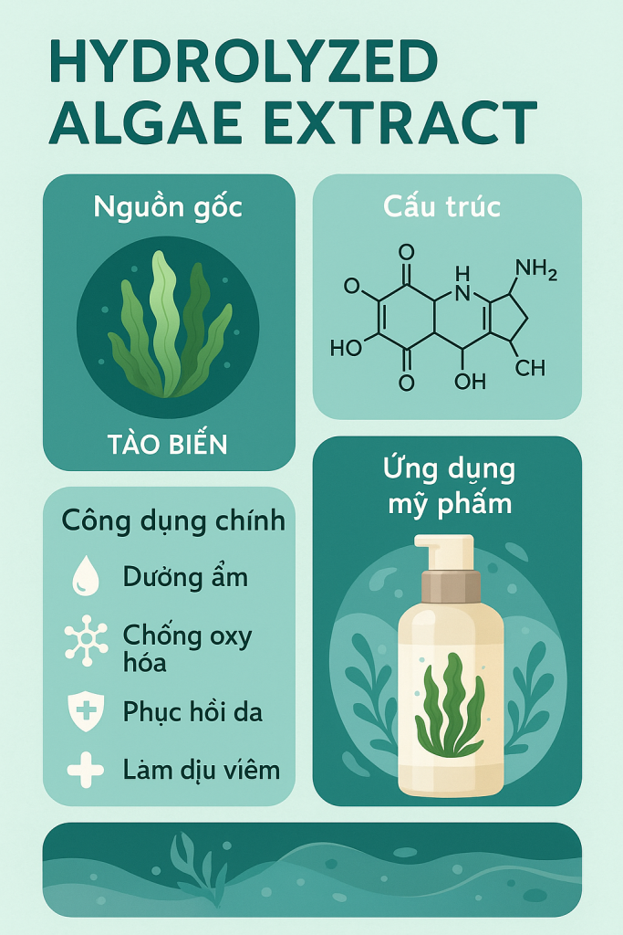 Hydrolyzed Algae Extract La Hoat Chat Gi Cong Dung Trong Duoc My Pham