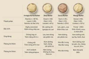 Irvingia Gabonensis Kernel Butter La Hoat Chat Gi Cong Dung Trong Duoc My Pham