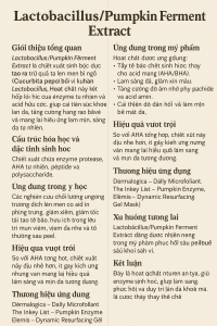 Lactobacillus Pumpkin Ferment Extract La Hoat Chat Gi Cong Dung Trong Duoc My Pham
