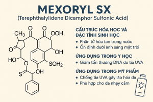 Mexoryl SX Terephthalylidene Dicamphor Sulfonic Acid La Hoat Chat Gi Cong Dung Trong Duoc My Pham
