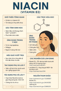 Niacin La Hoat Chat Gi Cong Dung Trong Duoc My Pham