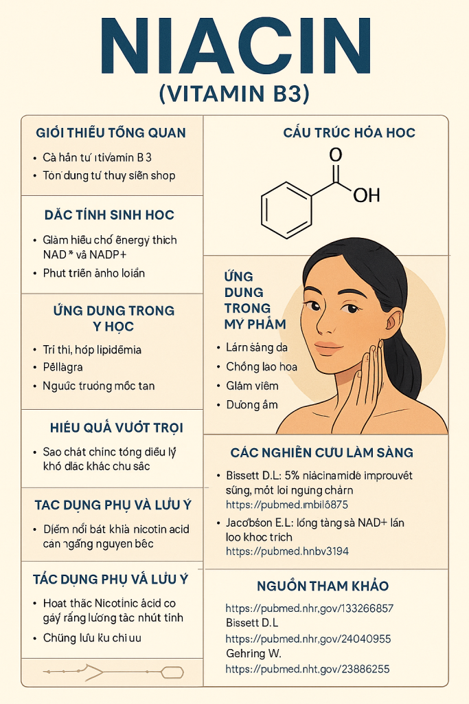 Niacin La Hoat Chat Gi Cong Dung Trong Duoc My Pham