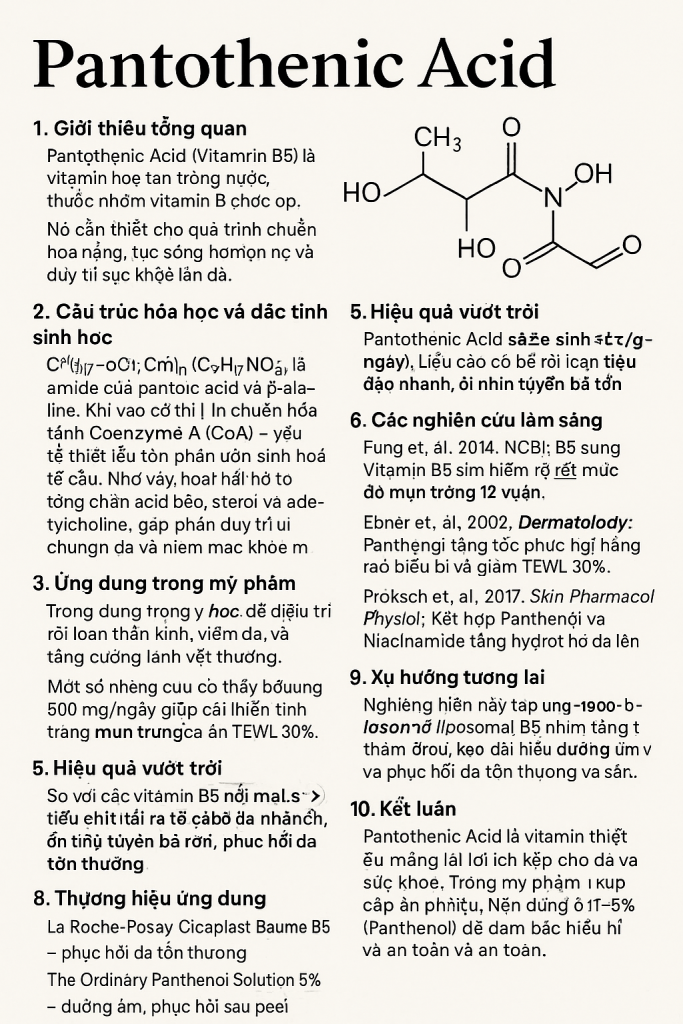 Pantothenic Acid La Hoat Chat Gi Cong Dung Trong Duoc My Pham