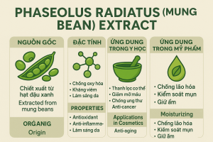 Phaseolus Radiatus Mung Bean Extract La Hoat Chat Gi Cong Dung Trong Duoc My Pham