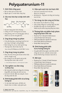 Polyquaternium 11 La Hoat Chat Gi Cong Dung Trong Duoc My Pham