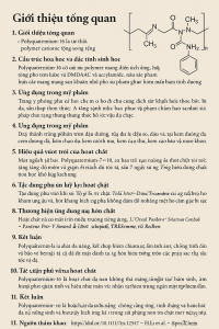 Polyquaternium 16 La Hoat Chat Gi Cong Dung Trong Duoc My Pham