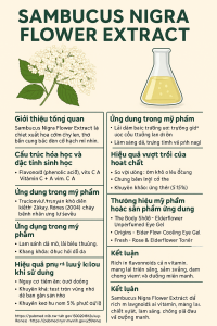 Sambucus Nigra Flower Extract La Hoat Chat Gi Cong Dung Trong Duoc My Pham