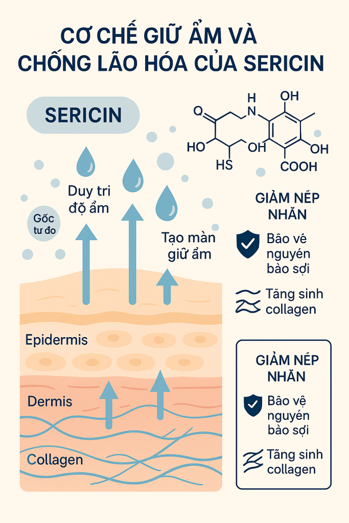 Sericin La Hoat Chat Gi Cong Dung Trong Duoc My Pham